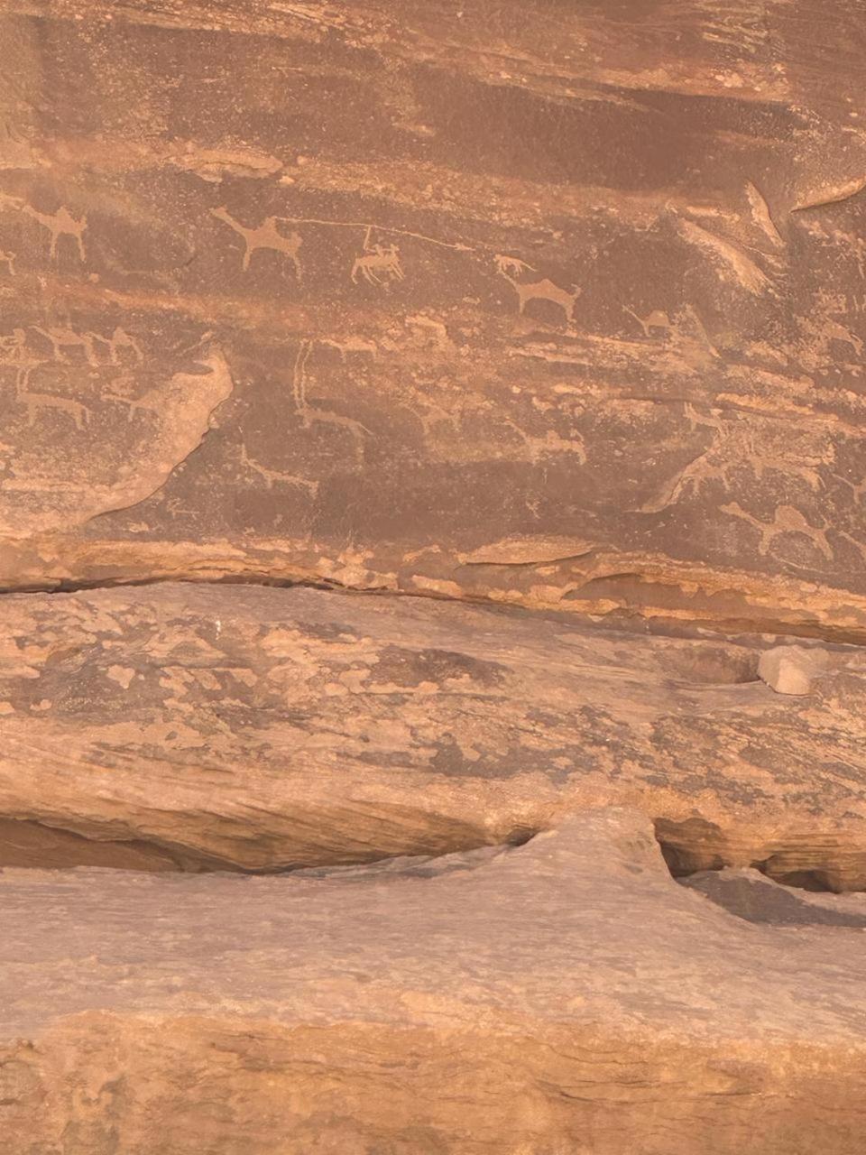 Star Magic Camp Hotel Wadi Rum Ngoại thất bức ảnh